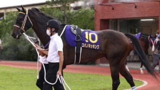 コパノキッキングの繋養先が決定 乗馬クラブクレイン大阪で乗馬に