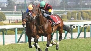 【東京ジャンプS出走馬・騎手確定】エイシンクリック＆西谷誠騎手、ケイティクレバー＆上野翔騎手など12頭