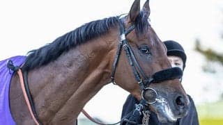 【宝塚記念 調教後馬体重】タイトルホルダーは476kg、エフフォーリアは518kg