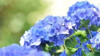 夏に向けて暑熱順化しましょう