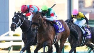 【宝塚記念】出走馬の調教後の馬体重