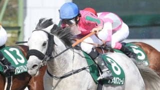 【帝王賞】JRA出走予定馬