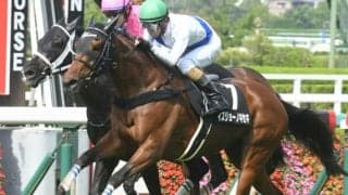 【次走】イズジョーノキセキは放牧へ 石坂師「一回使ってエリザベス女王杯へ」