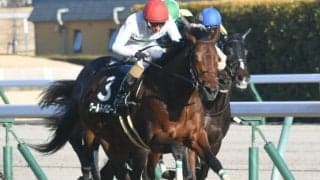 【次走】ワールドバローズは引き続き和田竜二騎手とのコンビで関屋記念へ