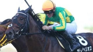 【ラジオNIKKEI賞想定】レコード2回サトノヘリオスは岩田望来騎手、毎日杯2着ベジャールは戸崎圭太騎手