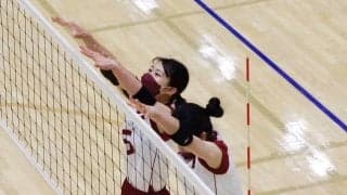 波に乗れなかった序盤から持ち直し、国際武道大にストレート勝利！