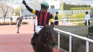 【今日の注目ポイント】障害重賞の東京ジャンプS、ダートOP・天保山Sなど