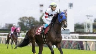 【東京ジャンプS予想】平地の脚力が問われる一戦 東京巧者の初戴冠に期待