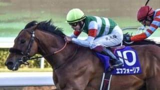 【宝塚記念予想】上積み必至で圧勝ムード!? 混戦模様も「あの馬」に期待する完全復活