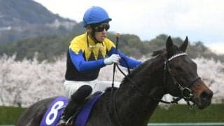 【宝塚記念】ポタジェはフランス語で「家庭菜園」パンサラッサの香港表記は「本初之海」 出走馬の馬名意味と香港表記を紹介