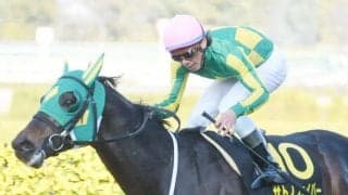 【JRA】サトノフェイバーが登録抹消、高知競馬に移籍