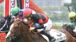 【阪神5R新馬戦結果】イスラボニータ産駒オリオンネビュラがデビュー勝ち