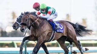 【宝塚記念前日オッズ】エフフォーリアが3.5倍で1番人気