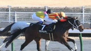 【宝塚記念】62年の歴史でフルゲートはわずか2回 過去のフルゲート時はどんな傾向が？