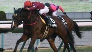 函館11Rで転倒のローレルアイリスは予後不良、トップオブメジャーは異状なし