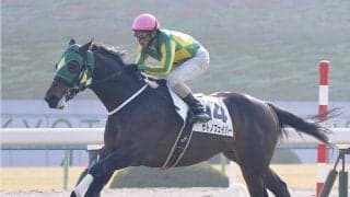 サトノフェイバーが競走馬登録抹消