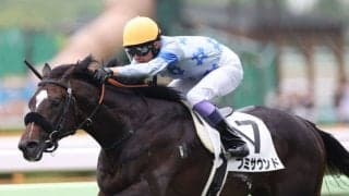 【新馬/函館5R】武豊 フミサウンドがデビューV