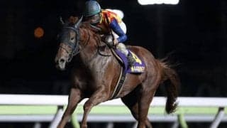 【大井・帝王賞枠順確定】テーオーケインズは8枠8番、オメガパフュームは2枠2番