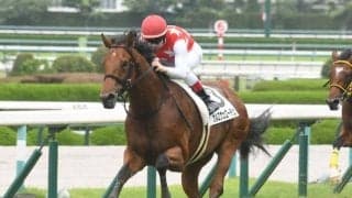 【阪神5R新馬戦結果】カルロヴェローチェが抜け出して2馬身差快勝