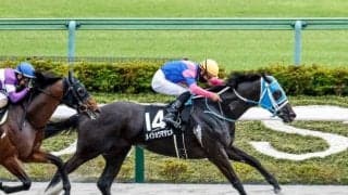 【JRA・WIN5】本日のWIN5は的中104票、配当490万6120円