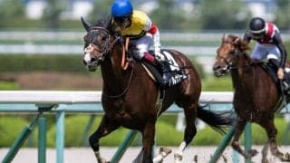 【城崎特別】アルナシームが断然の人気に応える