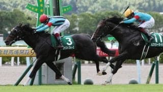 【CBC賞登録馬】ファストフォースなど17頭