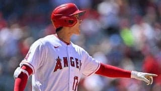 大谷翔平を大乱闘から守った水原通訳　海外記者が称賛「最高の仕事は乱闘の後半だ」