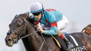 【先週のJRA抹消馬】きさらぎ賞覇者サトノフェイバー、復活オープン入りのパラダイスリーフなど