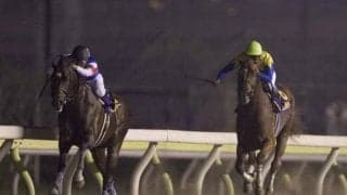 【歴史に残る名勝負】地方と中央の「意地」と「誇り」が激突/2006年帝王賞