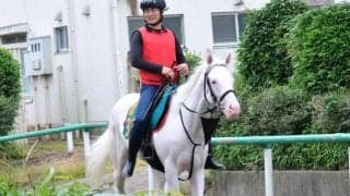 “白毛の女王”ソダシに続く 話題の白毛アオラキがデビュー/関東馬メイクデビュー情報