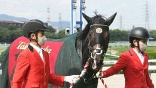 血統的にも楽しみが大きいタイトルホルダーの凱旋門賞挑戦