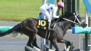 【ジャパンダートダービー】コマンドライン、ブリッツファング、スピーディキックなど選定馬が発表