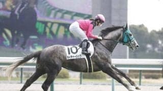 ステイゴールド系が圧倒的な成績を残す福島芝2600m