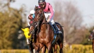 【ラジオNIKKEI賞展望】3歳のハンデ重賞、逃げ先行馬の活躍が多い
