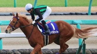 【ラジオNIKKEI賞】3歳馬限定のハンデ戦　成長過程にある未来の名馬が繰り広げる波乱必至の戦い