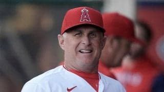 エンゼルス監督代行は“スイート席”で観戦　出場停止中に米反応「誰かピザを贈って」