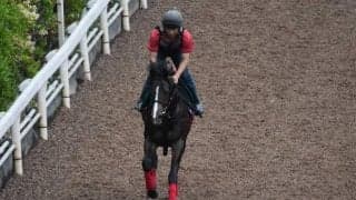 インテンソなど、先週のゲート試験/栗東トレセンニュース