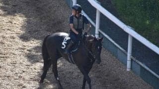 ブラックブロッサムなど、先週の入厩情報/栗東トレセンニュース