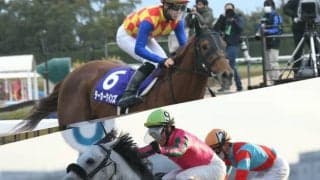 【帝王賞】29日20時10分発走！ テーオーケインズ、オメガパフュームなど出走馬全頭のプロフィール