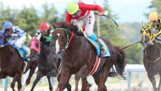 【金沢・日本海スプリント結果】ナムラムツゴローが差し切り決め重賞初V