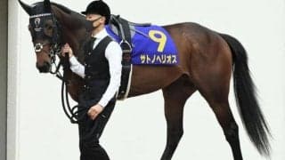 【ラジオNIKKEI賞予想オッズ】サトノヘリオスが予想1番人気
