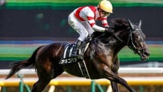 【CBC賞予想オッズ】3歳牝馬アネゴハダが予想1番人気