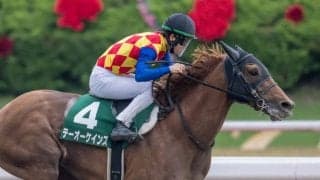【帝王賞】テーオーケインズは8枠8番へ