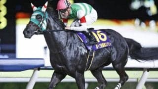 【大井・優駿スプリント結果】プライルードが完勝でラブリーデイ産駒として初の重賞V