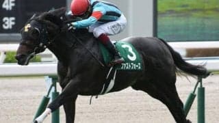 【CBC賞展望】昨年は日本レコード決着、今年もあの馬に期待したい