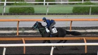 エアアルマス、プロキオンS1週前追い切り速報/栗東トレセンニュース