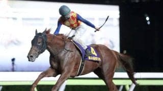 【帝王賞】上半期のダート王者決定戦に実力馬集う