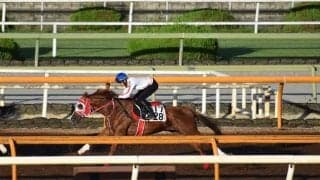 プリマヴィスタ、七夕賞1週前追い切り速報/栗東トレセンニュース