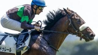 【次走】シャンドゥレールは札幌2歳Sへ 昨年の2歳女王と同父、同厩舎の素質馬