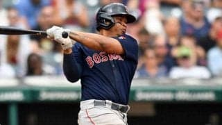 【MLB】フィールドに突如現れた“敵”　投手困惑、誰も予期せぬ珍打撃が「史上最も偉大」